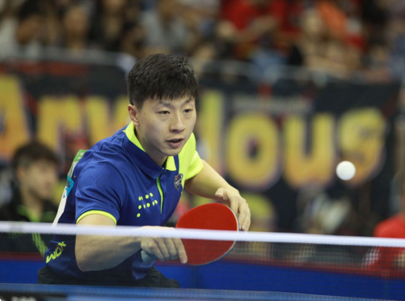 野辅快速联 野辅快速联